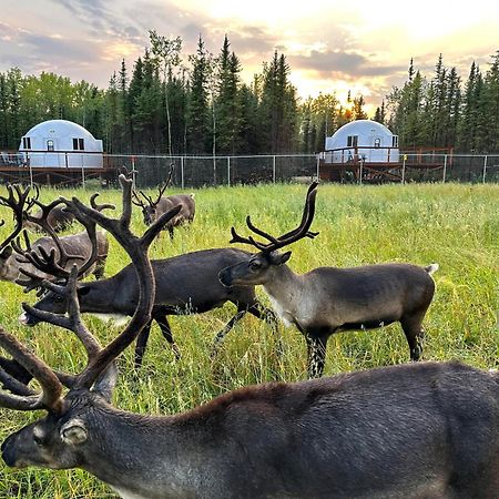 Willa Pleasant Acres Reindeer Ranch Pleasant Valley Zewnętrze zdjęcie